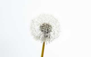 Очень сухая кожа головы: что делать и как убрать дискомфорт в домашних условиях?