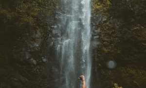 Доминантный мужчина в отношениях с женщиной: признаки и особенности