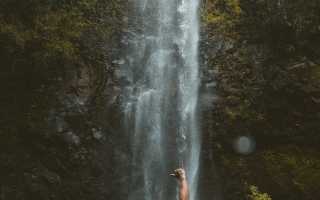 Доминантный мужчина в отношениях с женщиной: признаки и особенности