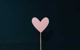 20 способов как разжечь ревность в сердце мужчины на расстоянии и укрепить отношения