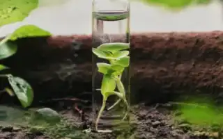 Витамины для лица в ампулах – советы косметолога по применению и рекомендации