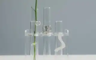 Применение толуола в косметике и его влияние на здоровье кожи