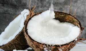 Применение кокосового масла для лица в домашних условиях: советы и рекомендации